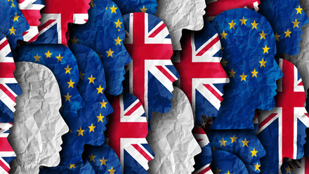 eu- uk-flagfaces- arliamentry-dialogue - 1080x720px.png