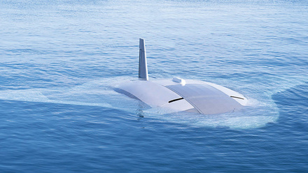 Manta-Ray-In-Water-1168x440px.jpg