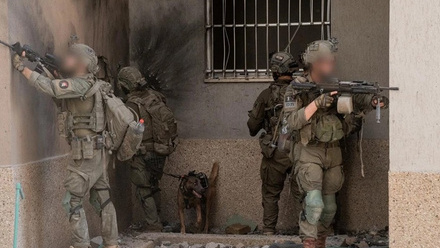202nd_batallion_paratroopers.jpg