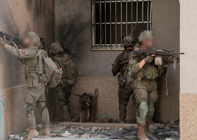 202nd_batallion_paratroopers.jpg