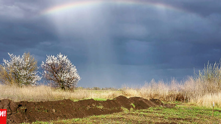 Wilsey-Ukraine-Minefield-BannerImage-1168x440px.jpg
