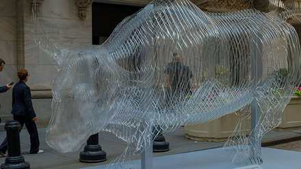 Transparent-Bull-BannerImage-1168x440px.jpg