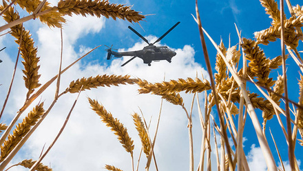 Helicopter-Wheat-BannerImage-1168x440px.jpg