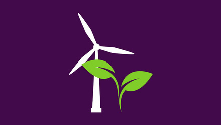 carbon-markets-vidcom.jpg