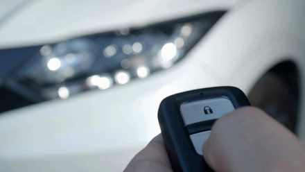 vehicle-theft-signpost.jpg