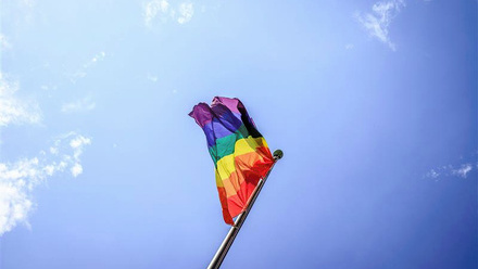 lgptq_flag.jpg